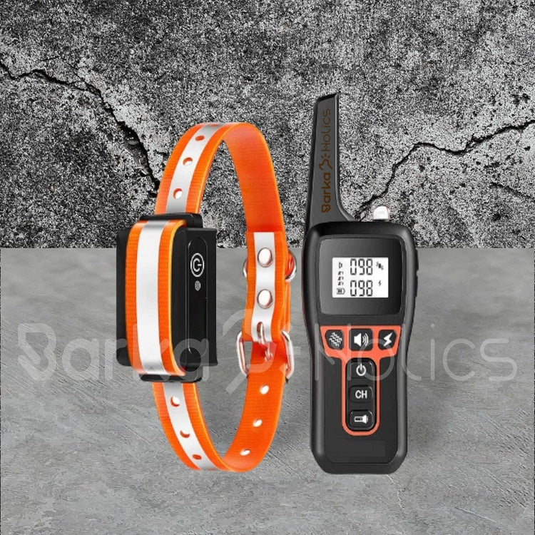 Best rated dog training shock collar hotsell