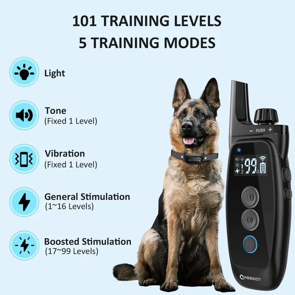 Shock collar 2024 for older dogs