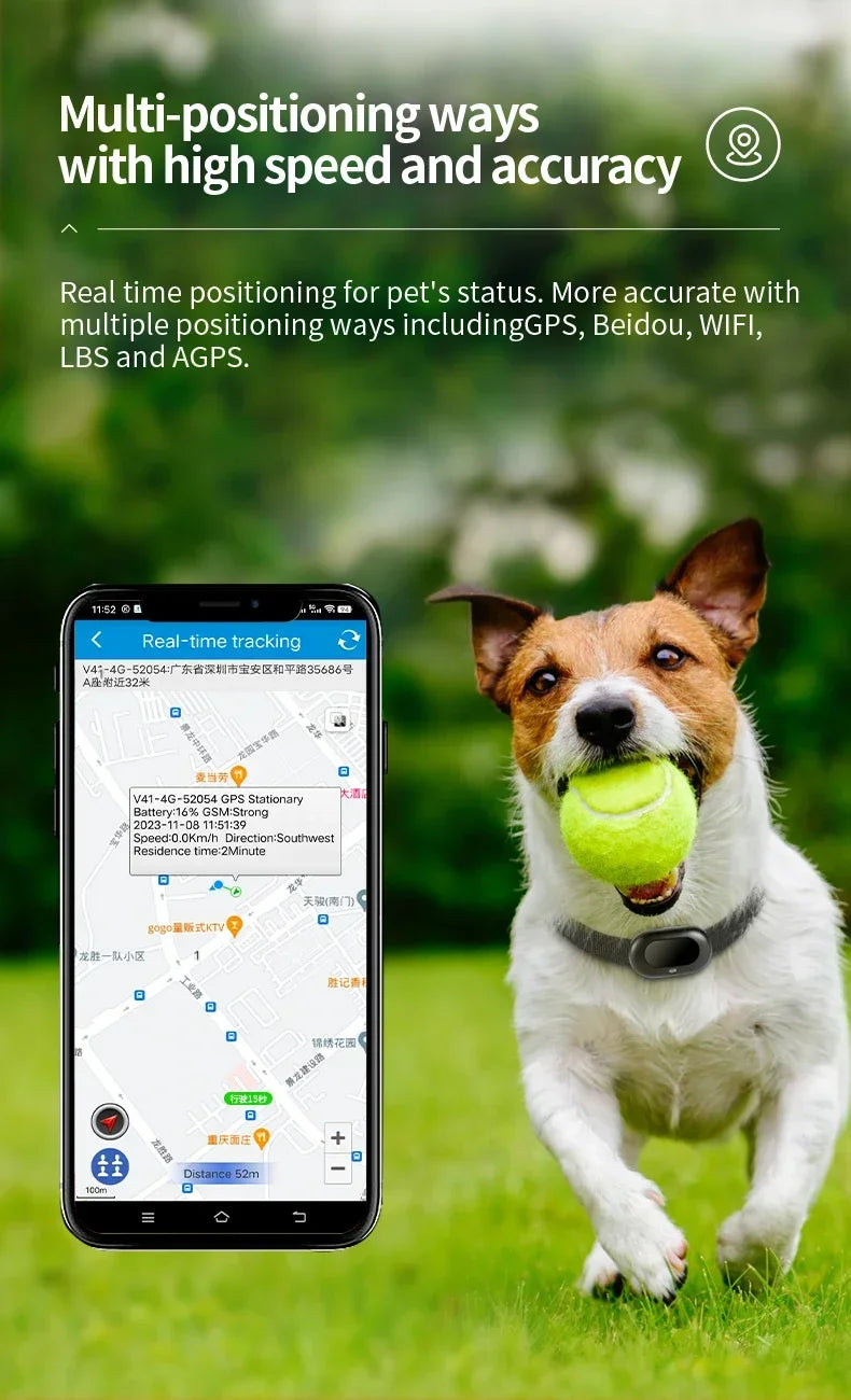 Aribelly pet gps tracker best sale