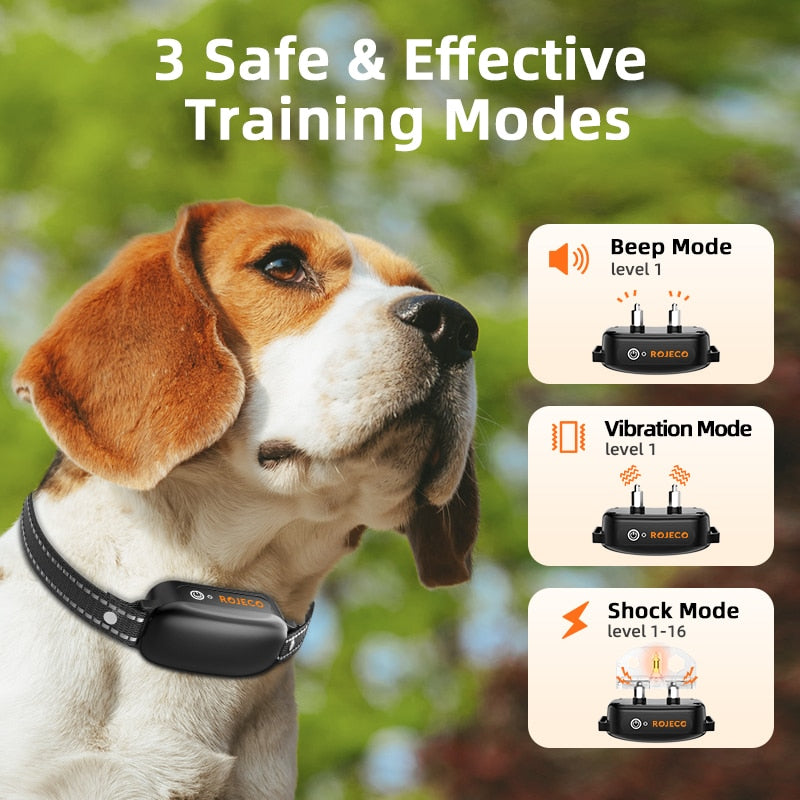 Shock collar 2024 for beagle