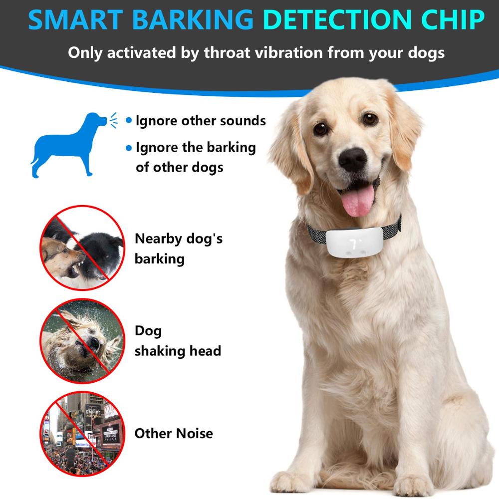 Training collar with outlet automatic bark control